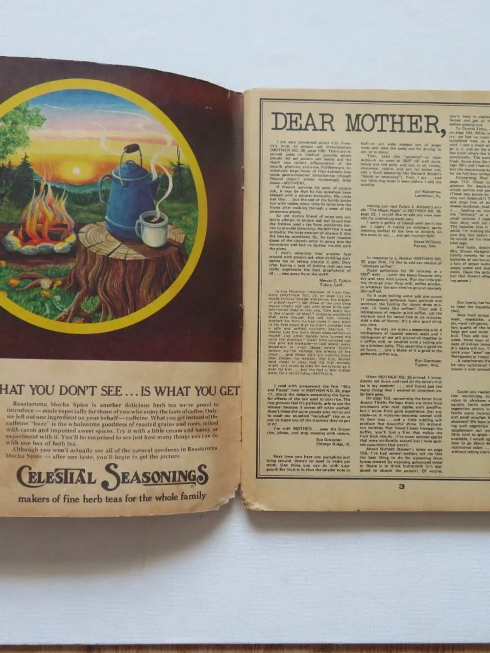 The Mother Earth News March 1976 No. 38 Farming Homesteading Magazine